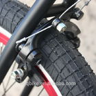 Ποδήλατα βαθμολογιών εισαγωγής BMX Freestyel, υψηλή διάρκεια ποδηλάτων τεχνάσματος των ατόμων